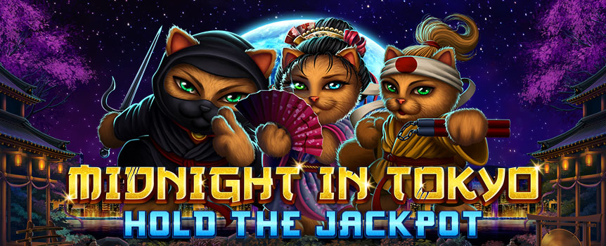 Cats, Kung Fun, Ninja and Prizes up to 3,000x your stake - there is nothing not to love about Midnight in Tokyo!